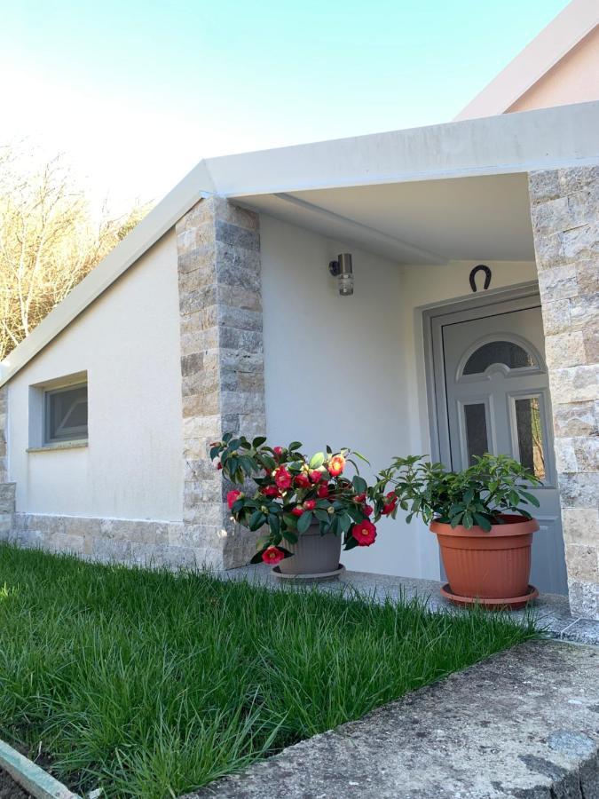 Markovic Village Apartments ウルツィニ エクステリア 写真
